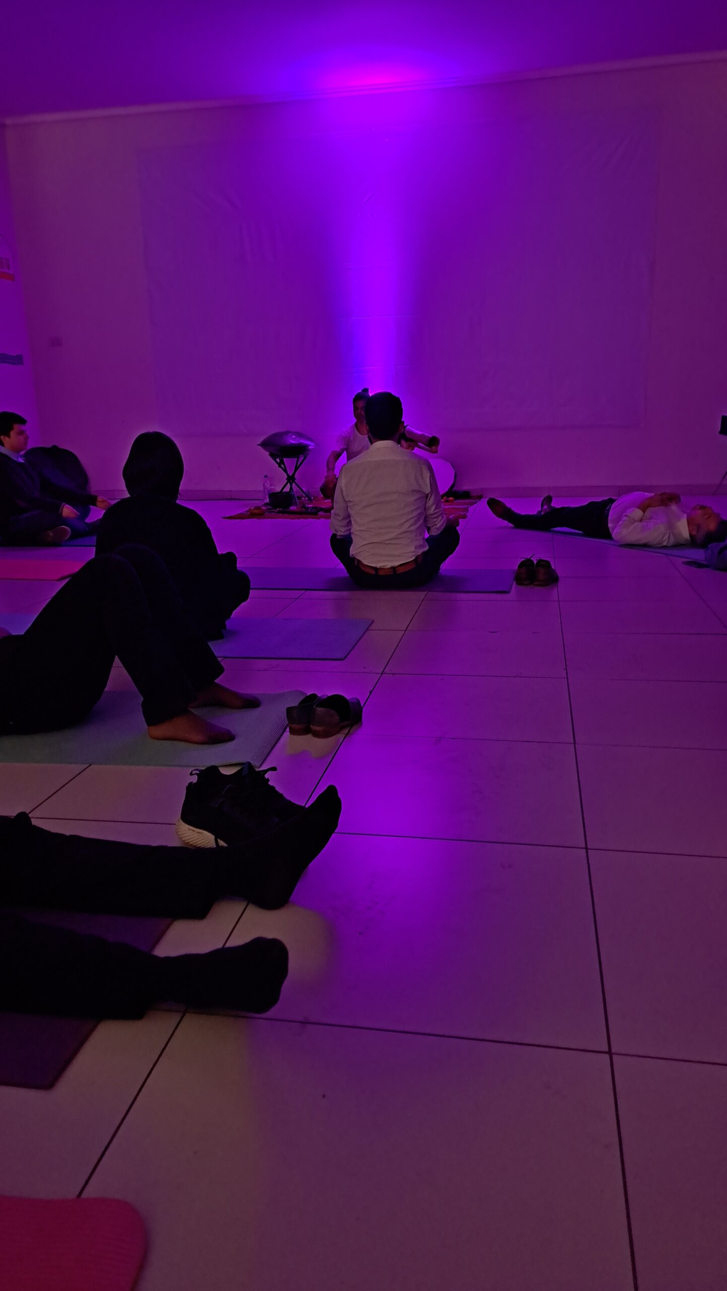 Sonoterapia